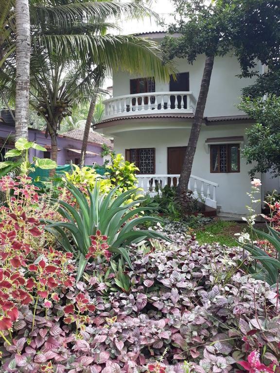 Agnelo'S Holiday Homes Candolim Zewnętrze zdjęcie